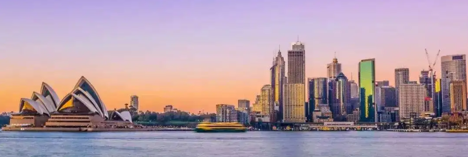 畢業(yè)論文輔導