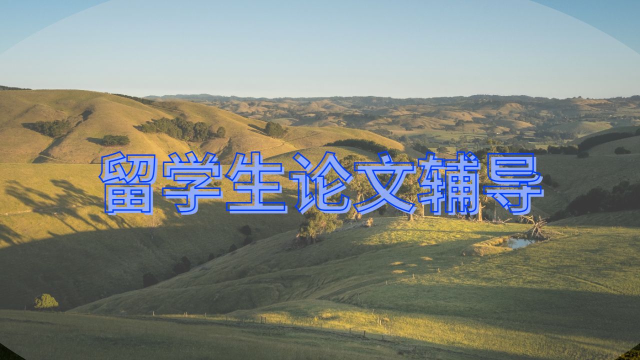 留學(xué)生論文輔導(dǎo)