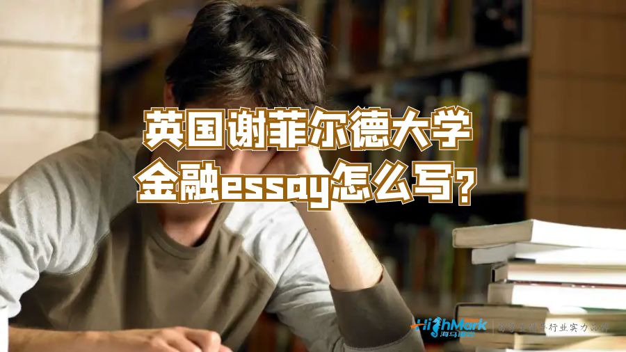 英國謝菲爾德大學(xué)金融essay怎么寫?