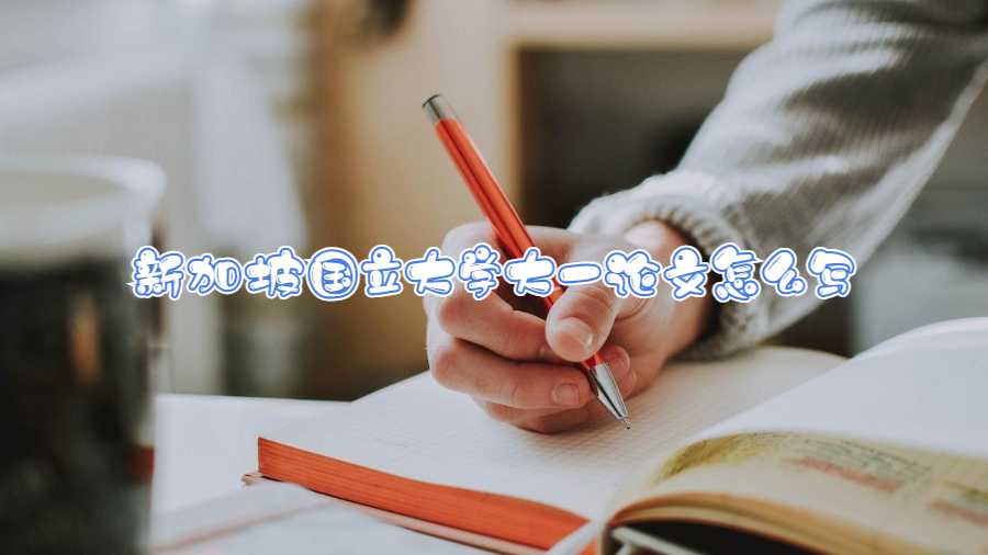 新加坡國(guó)立大學(xué)大一論文怎么寫