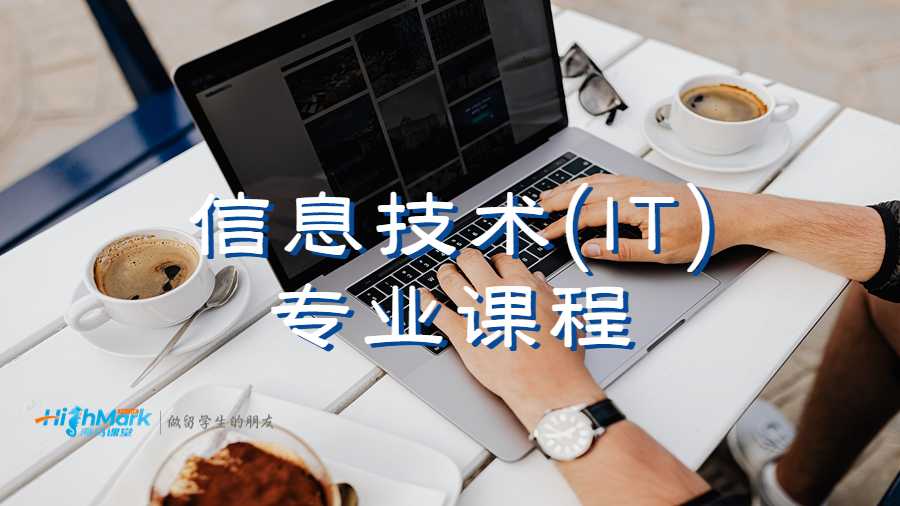 信息技術(IT)專業(yè)課程