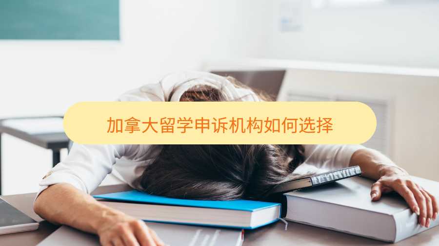 加拿大留學申訴機構(gòu)如何選擇