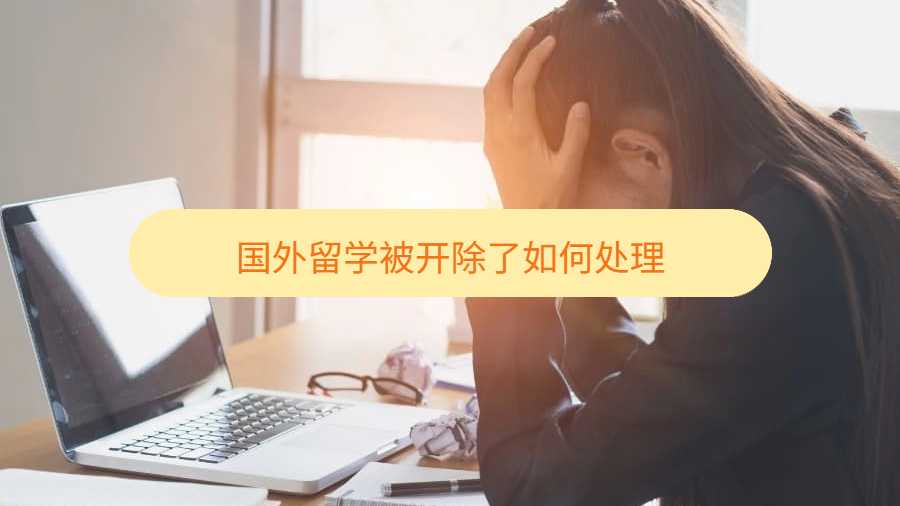 國(guó)外留學(xué)被開除了如何處理