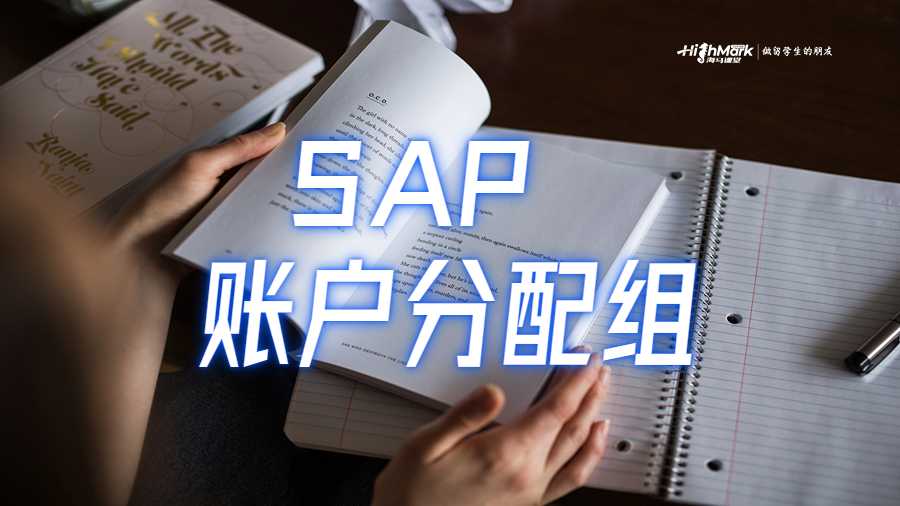 如何在 SAP 中維護(hù)賬戶分配組