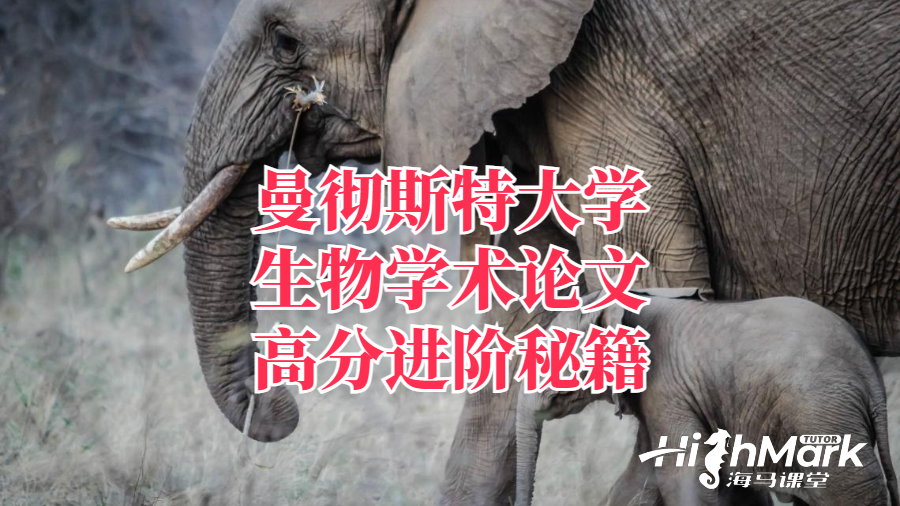 曼徹斯特大學(xué)生物學(xué)術(shù)論文高分進(jìn)階秘籍
