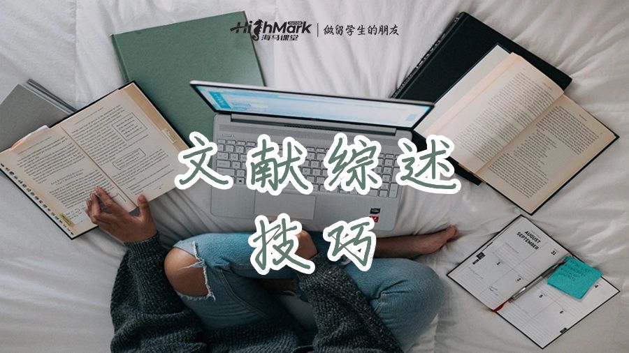 文獻(xiàn)綜述的技巧