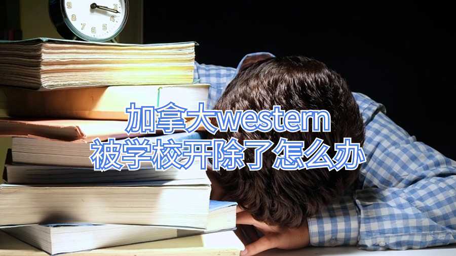 加拿大western被學(xué)校開除了怎么辦