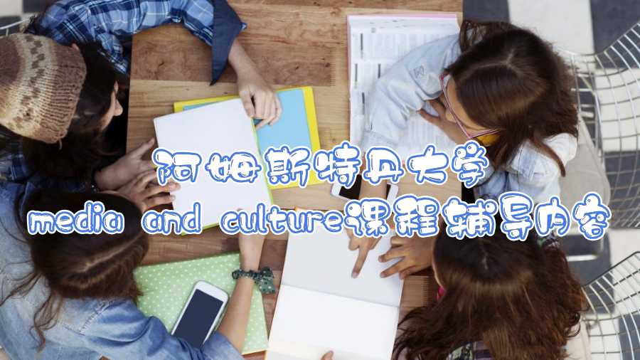 阿姆斯特丹大學(xué)media and culture課程輔導(dǎo)內(nèi)容
