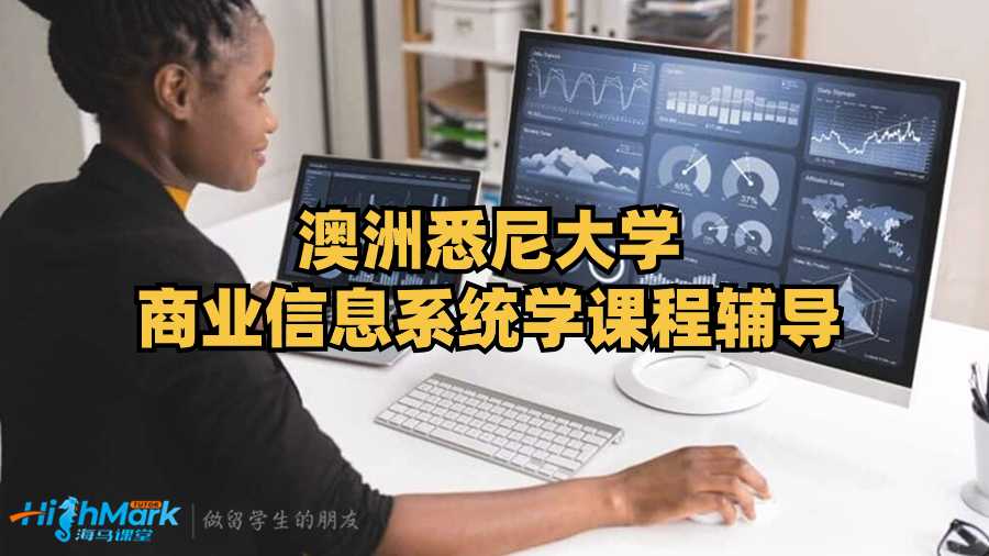 澳洲悉尼大學商業(yè)信息系統(tǒng)學課程輔導