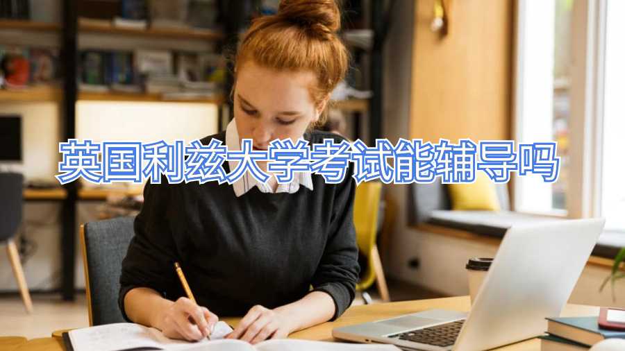 英國利茲大學考試能輔導嗎