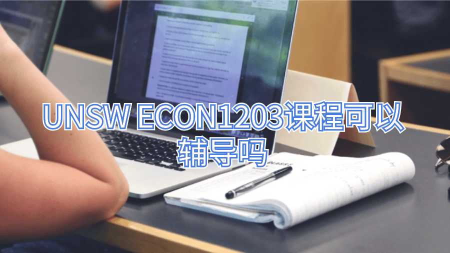 UNSW ECON1203課程可以輔導(dǎo)嗎