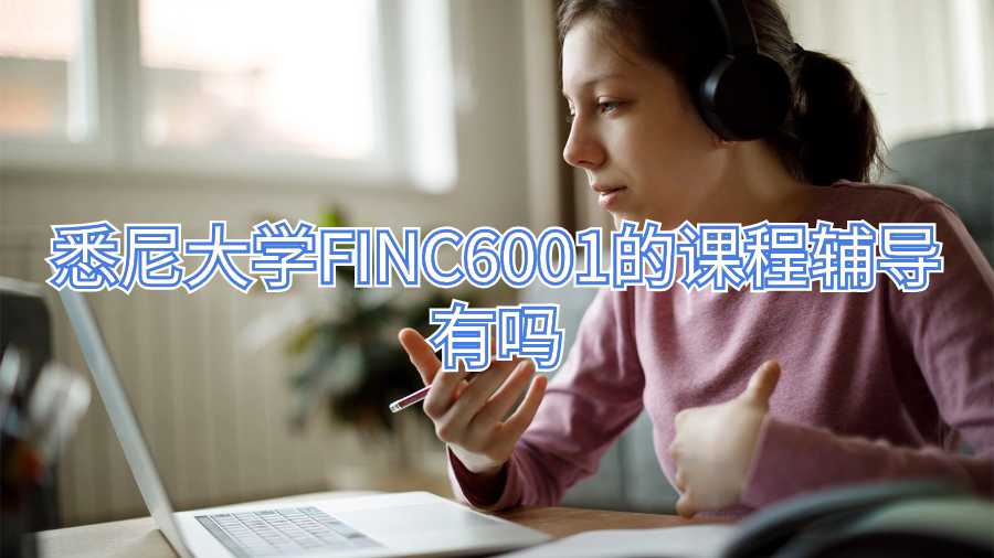 悉尼大學(xué)FINC6001的課程輔導(dǎo)有嗎