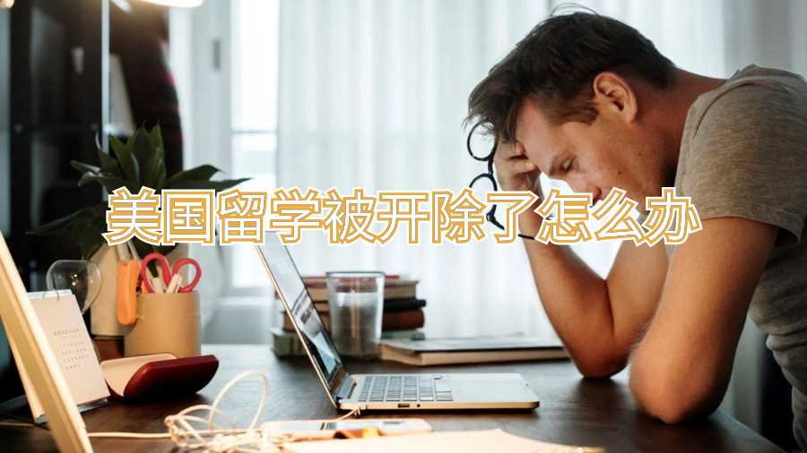 美國留學被開除了怎么辦