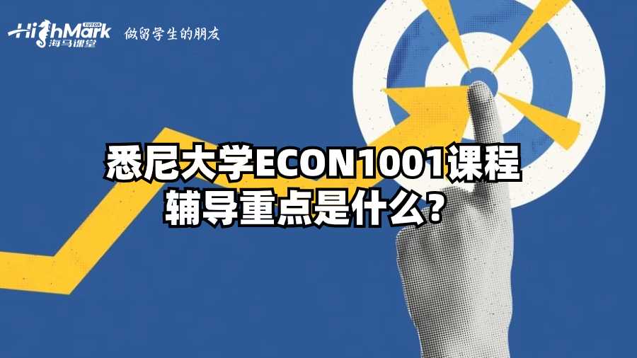 悉尼大學(xué)ECON1001課程輔導(dǎo)重點是什么?