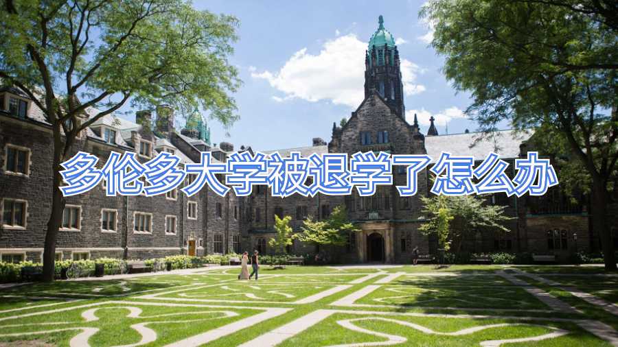多倫多大學被退學了怎么辦
