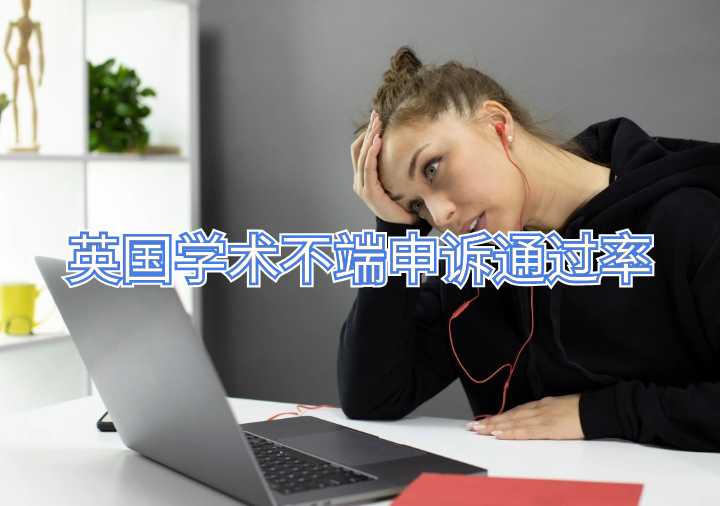 英國學術(shù)不端申訴通過率