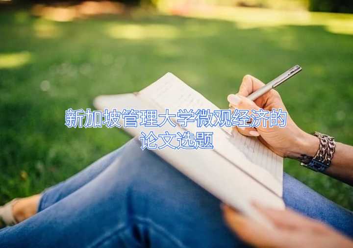 新加坡管理大學(xué)微觀經(jīng)濟(jì)的論文選題