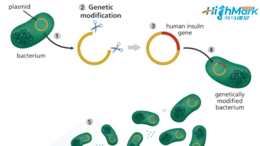 留學(xué)生課程輔導(dǎo)