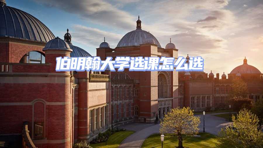 伯明翰大學(xué)選課輔導(dǎo)