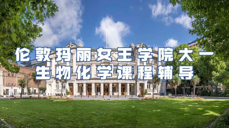 倫敦瑪麗女王學(xué)院課程輔導(dǎo)