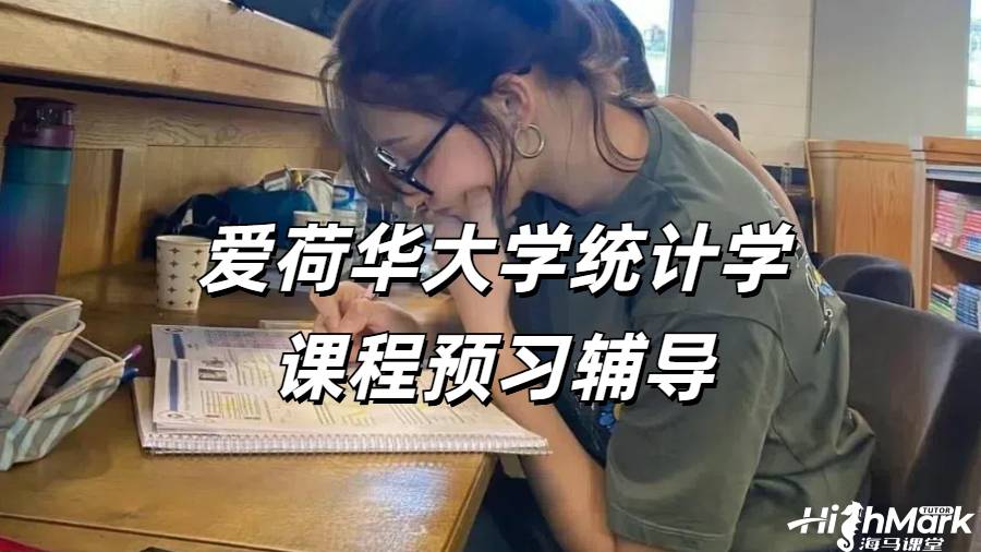 愛荷華大學(xué)統(tǒng)計(jì)學(xué)課程預(yù)習(xí)輔導(dǎo)