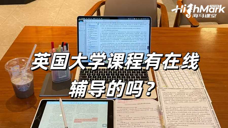 英國大學(xué)課程有在線輔導(dǎo)的嗎？