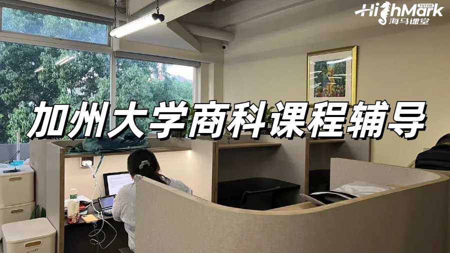 留學(xué)生課程輔導(dǎo)