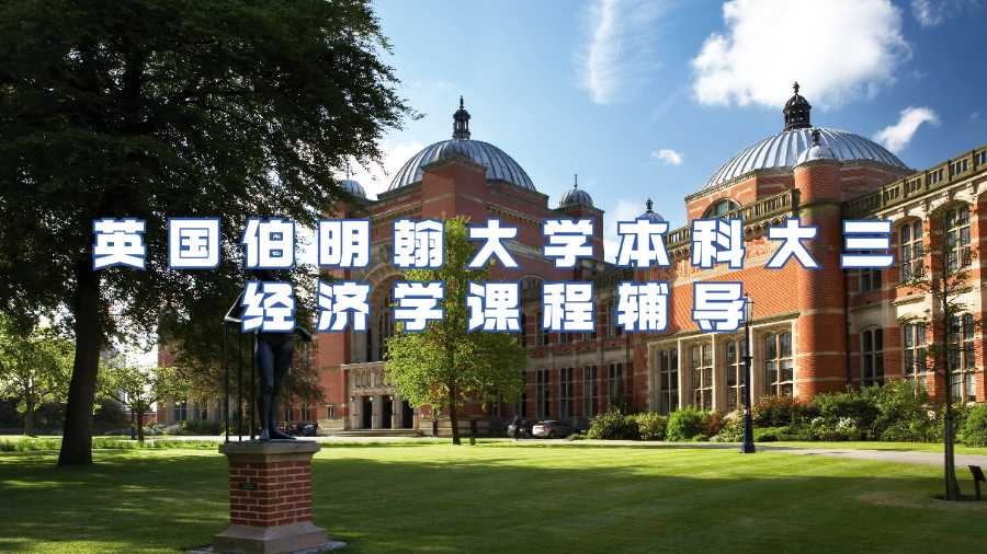 英國(guó)伯明翰大學(xué)本科大三經(jīng)濟(jì)學(xué)課程輔導(dǎo)