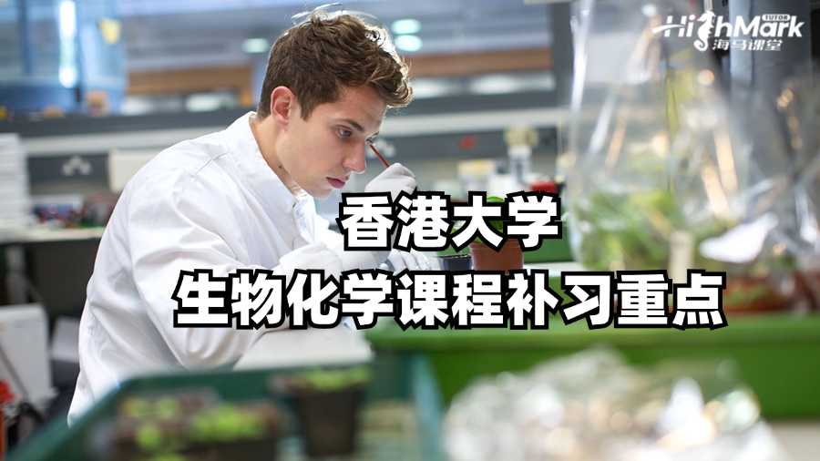 香港大學(xué)生物化學(xué)課程補習(xí)重點