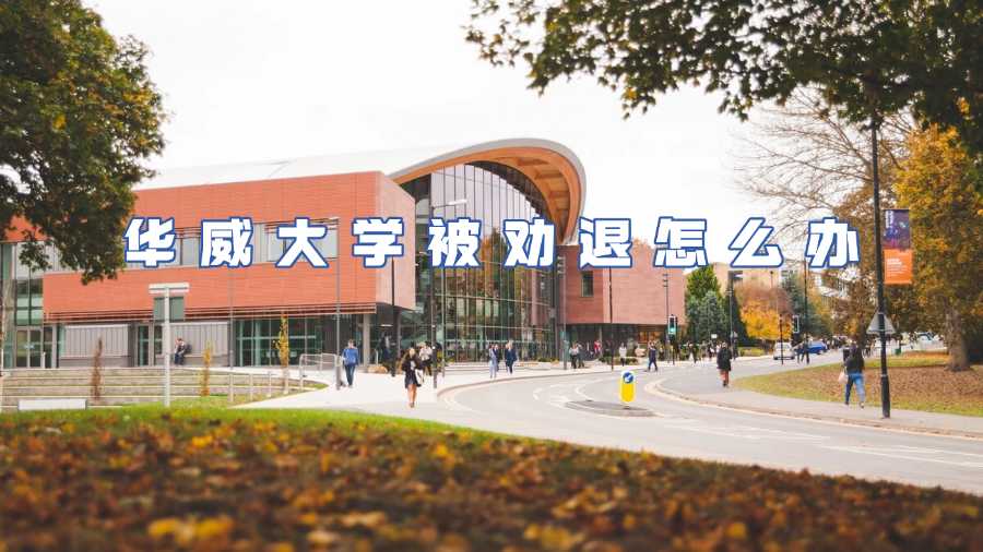華威大學(xué)被勸退怎么辦