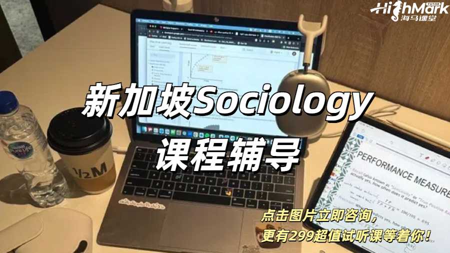 新加坡Sociology輔導(dǎo)
