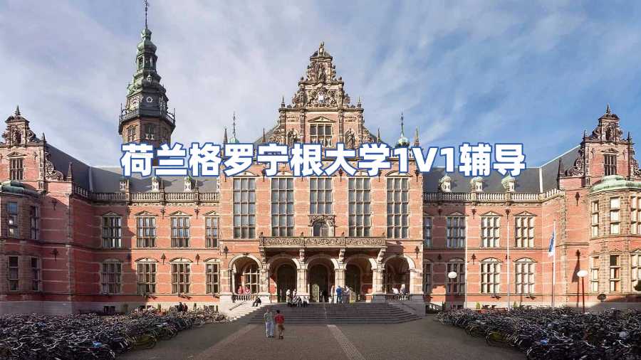 荷蘭格羅寧根大學課程輔導