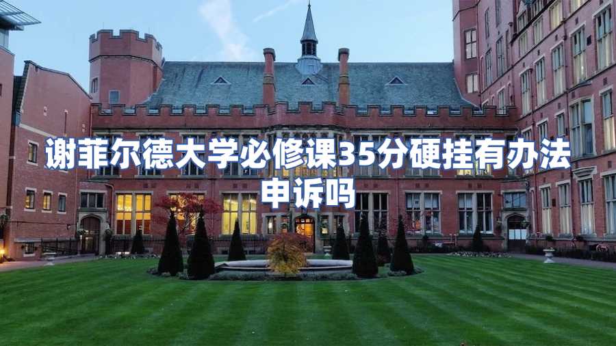 謝菲爾德大學必修課掛科