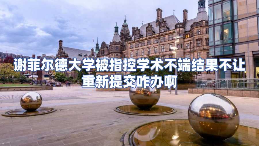 謝菲爾德大學被指控學術不端結果不讓重新提交咋辦啊