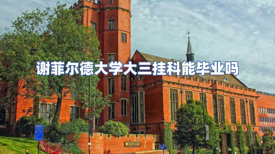 謝菲爾德大學(xué)大三掛科能畢業(yè)嗎