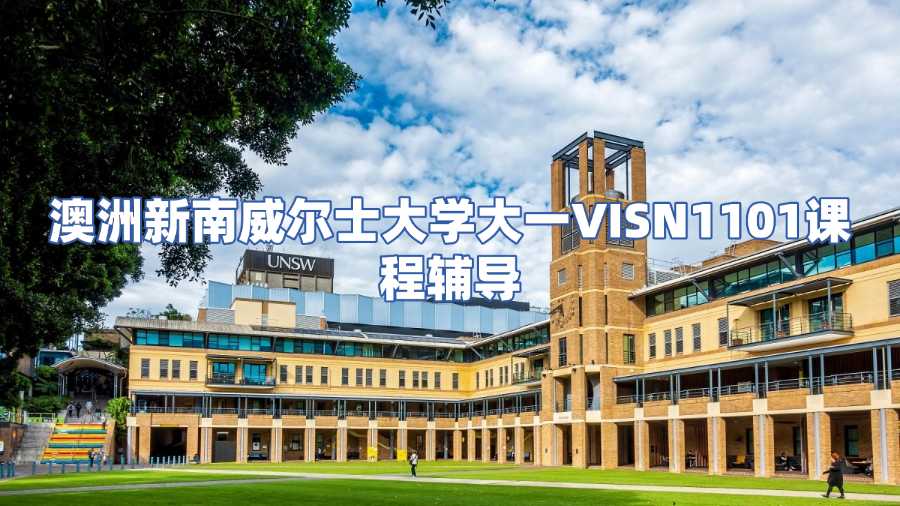 澳洲新南威爾士大學(xué)大一VISN1101課程輔導(dǎo)