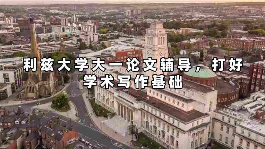 利茲大學大一論文輔導