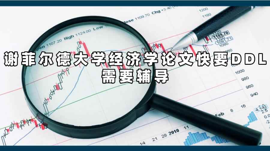 謝菲爾德大學(xué)經(jīng)濟學(xué)論文輔導(dǎo)