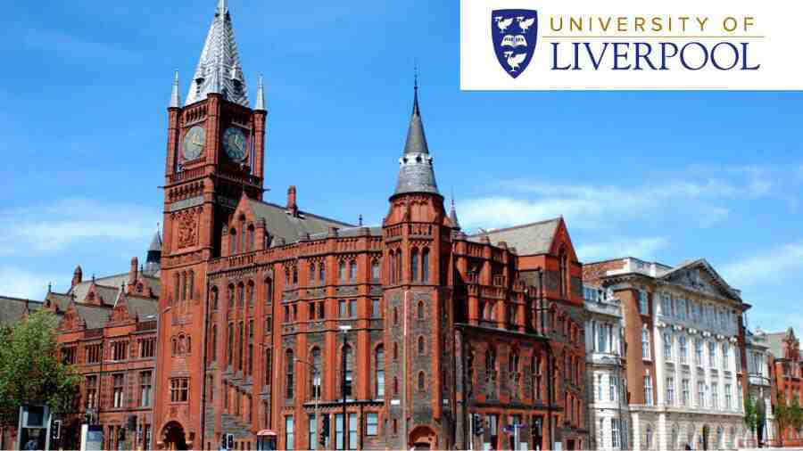 利物浦大學(xué)軟掛標(biāo)準(zhǔn)是什么