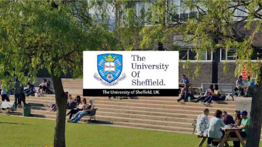 謝菲爾德大學(xué)掛科三門(mén)還有補(bǔ)考機(jī)會(huì)嗎