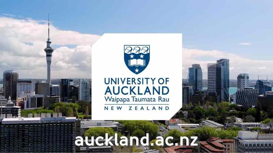 奧克蘭大學(xué)BUS111課程補習(xí)