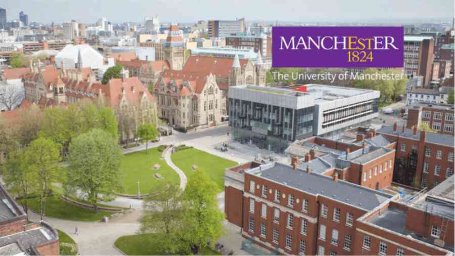 曼徹斯特大學大一經(jīng)濟學課程預習