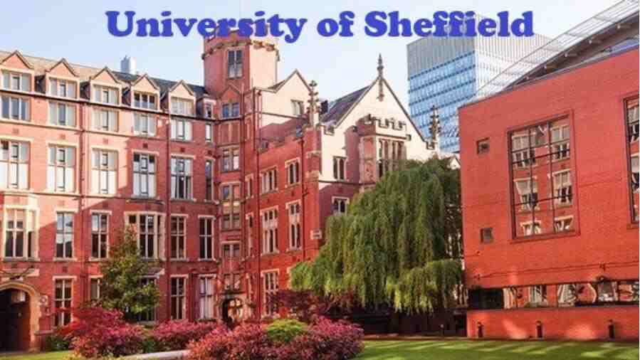 謝菲爾德大學(xué)補(bǔ)考掛科怎么辦