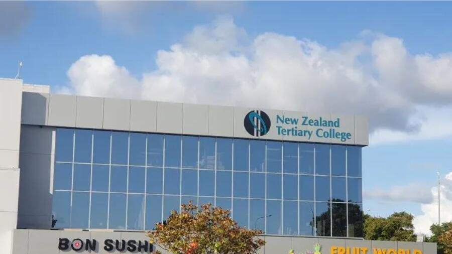 新西蘭高等教育學(xué)院NZTC幼教Paper怎么寫