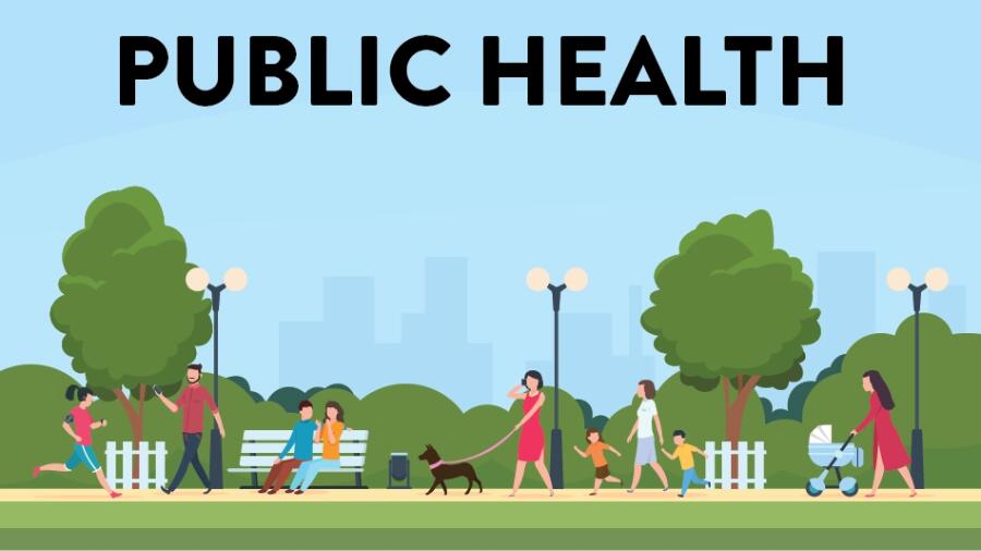 曼徹斯特大學(xué)公共健康課程輔導(dǎo)