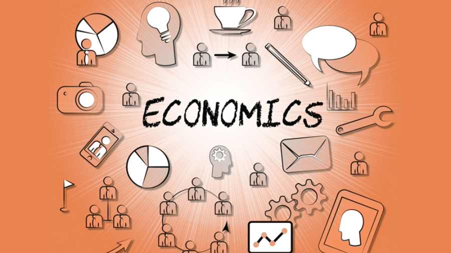 香港大學經濟學課程作業(yè)遇到困難該怎么辦