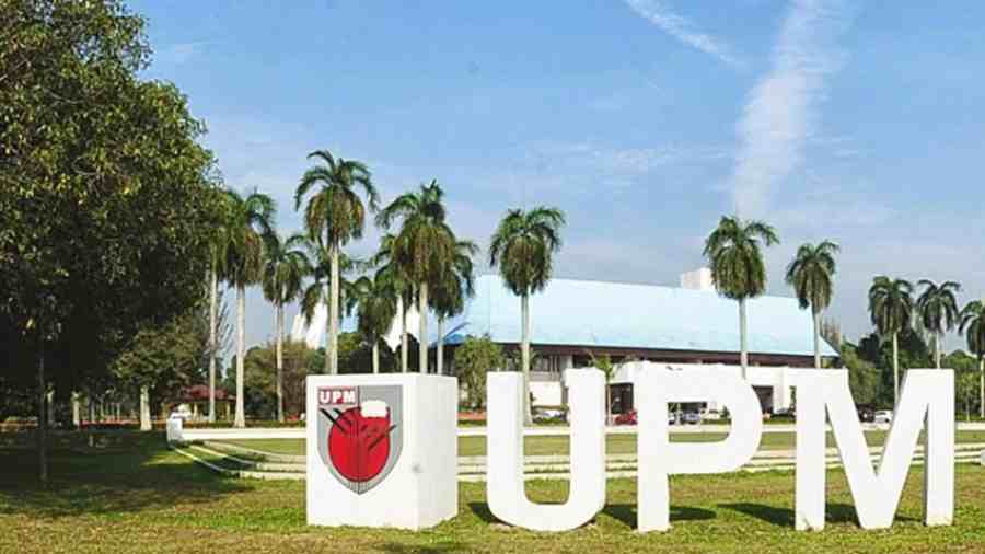 UPM傳媒本科大一選課指導(dǎo)